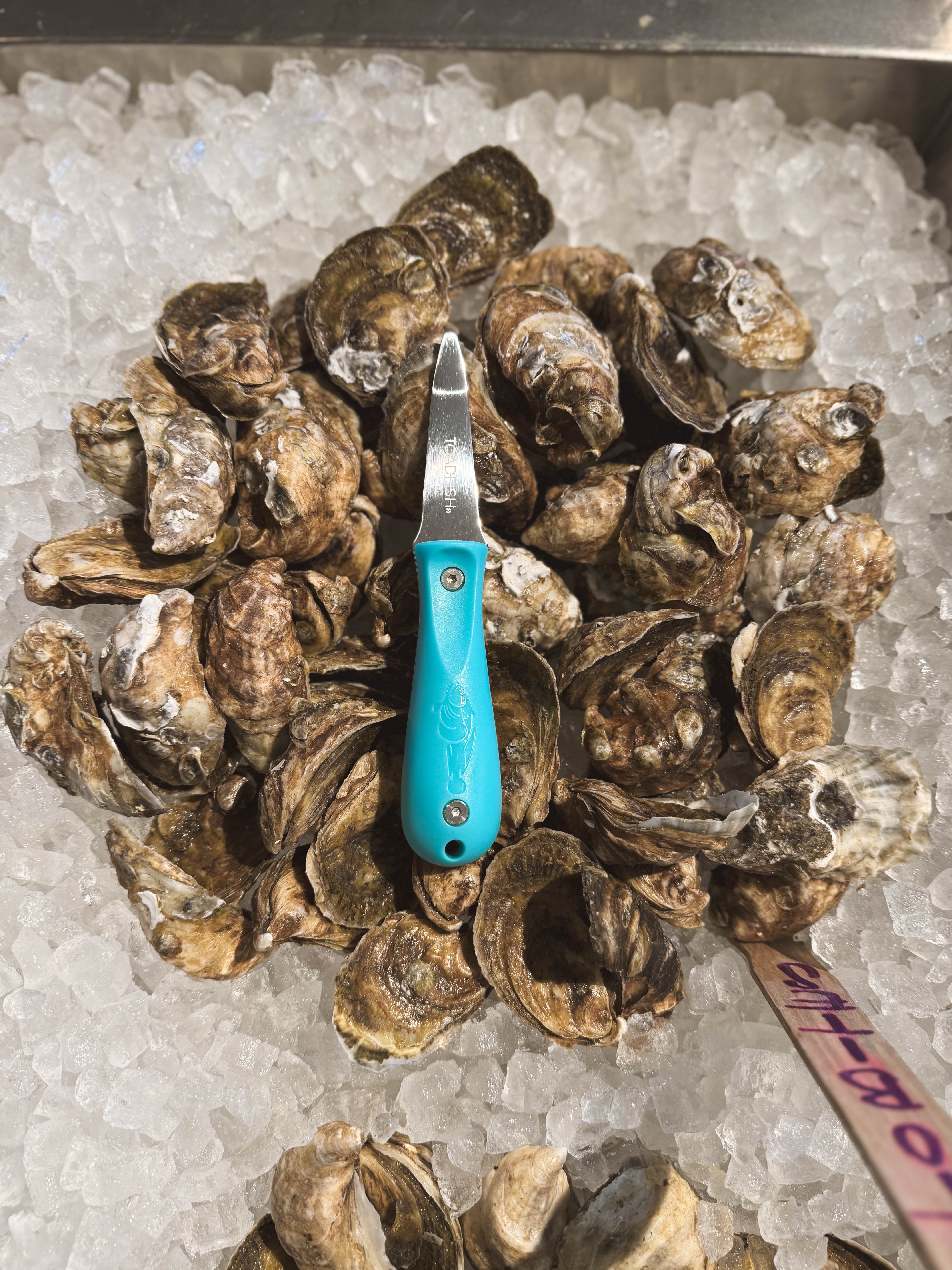 Toadfish Oyster Knife – Stainless Steel Shellfish Shucker