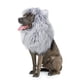 thumbnail image 1 of Peluca con melena de león para perros Onmygogo, talla M, gris, 1 of 6