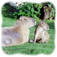 thumbnail image 3 of CafePress - Capybara Mom And Son Tote Bag - Unisex Canvas Tote Bag, Beige, 1-Piece, 3 of 9