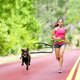 thumbnail image 4 of Correa de perro Manos libres con riñonera para mascotas, correa ajustable para caminar, correr, correr, correa para el pecho, cuerda reflectante de tracción, 4 of 5
