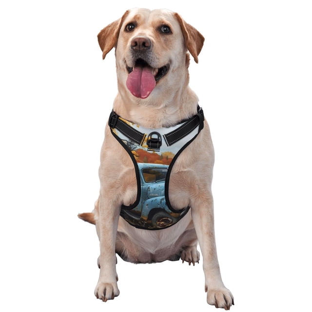 Fotbe Rustic Vintage Truck Autumn Arnés para Perro con Estampado –Chaleco Ajustable Acolchado con Asa de Control para Perros Grandes-Small