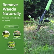 Garden Guru Stand Up Weeder Weed Puller Tool – Long Handle up to 45-Inch – Heavy Duty 3 Claw Weeder with Foot Pedal – No Bending or Kneeling – Great for Dandelions, Thistle, Grass (4)