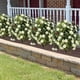 thumbnail image 4 of Plantación de flores simuladas para decoración de patio, jardín, primavera y verano, decoración exterior del hogar, plantas verdes artificiales, decoración de macetas para jardín., 4 of 6