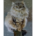 thumbnail image 1 of Wdftyju Kit de pintura por números, bricolaje, gato sentado, pintura al óleo, artesanía (X977) Wdftyju 6xh2xt7hs4bq1dt1D02, 1 of 9