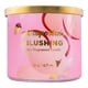 thumbnail image 1 of Vela aromática Aeropostale Blushing Soy con maracuyá 60h, 1 of 6