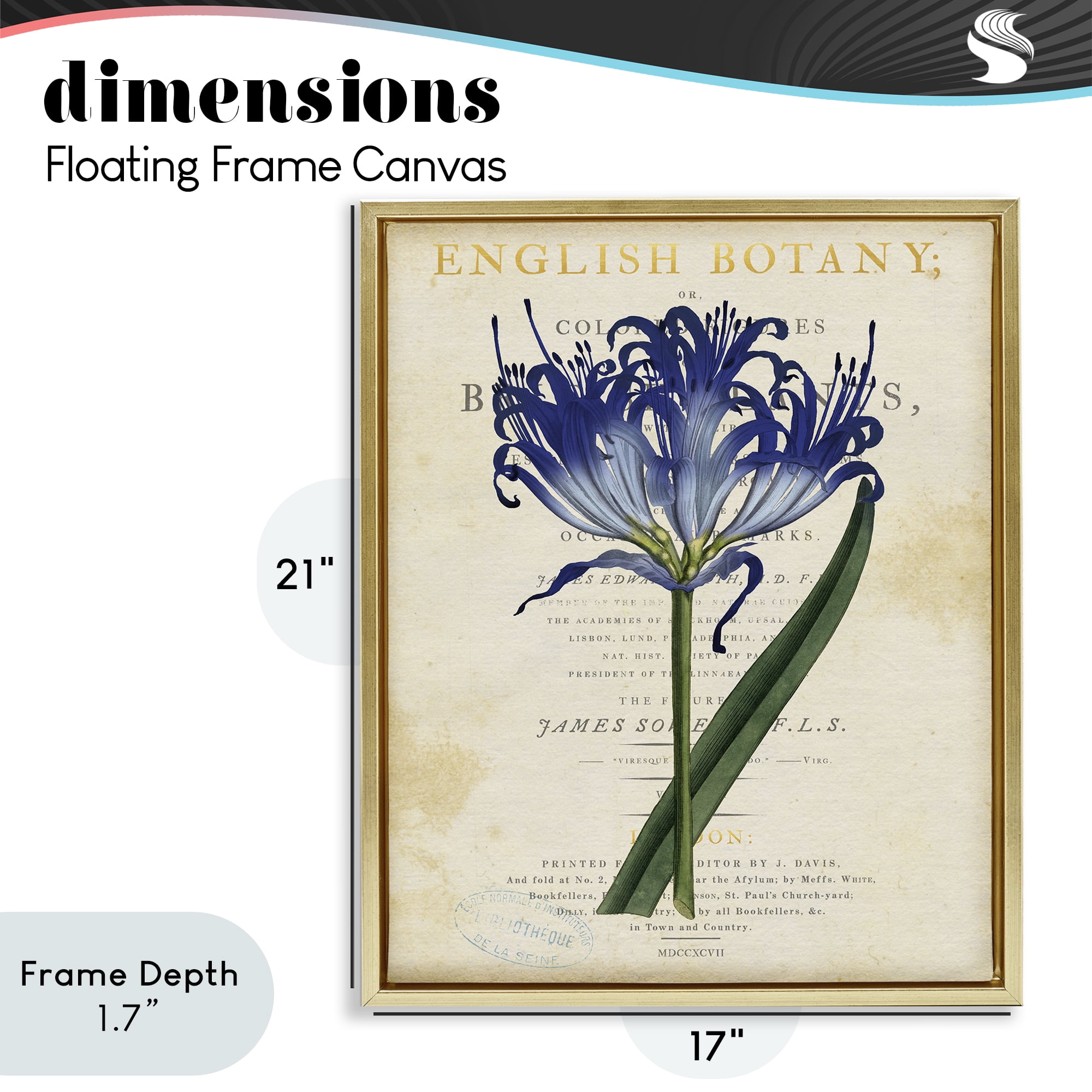 Stupell Industries English Botany Blue Floral Gold Framed Floater Canvas Wall Art, design by Susan Arnot