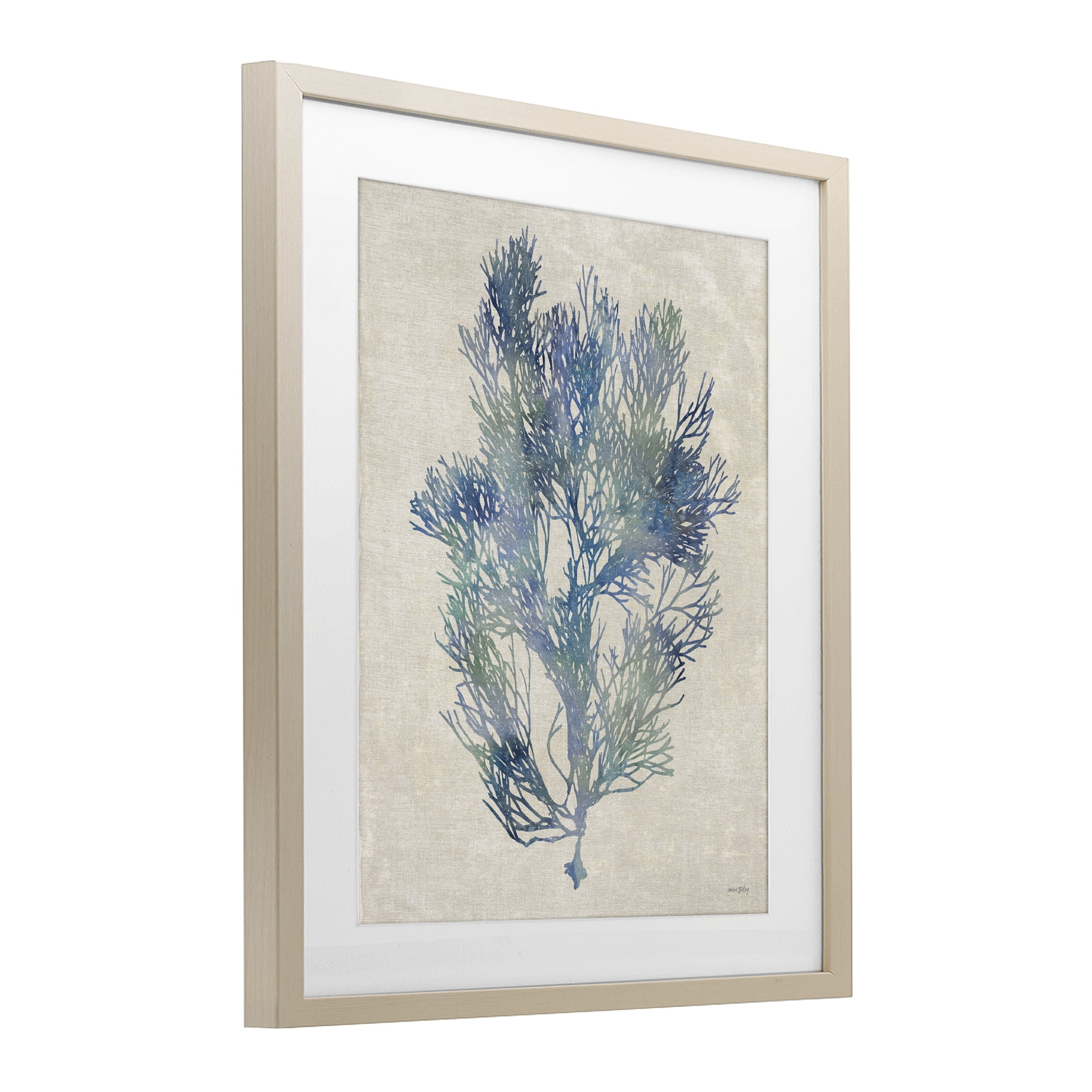 Stupell Industries Misty Blue Coral Study Birch Framed Print Under Glass, design by Amber Sterling