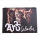 thumbnail image 1 of 2025 Cats Monthly Wall Calendar, Family Planner Calendar Organizer, 1 of 5