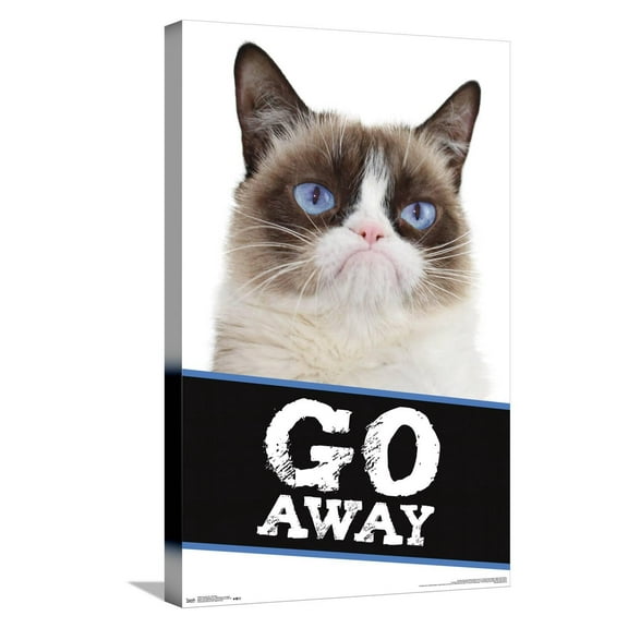 Grumpy Cat - Go Away Canvas Wall Poster, 14.725" x 22.375"