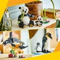 thumbnail image 3 of LEGO Creator 3 in 1 Wild Animals Panda Family - Building Toy with 3 Building Options, Panda, Penguin, or Orca - Animal Figures for Kids, Girls and Boys, Ages 8+ - Gift Idea for Birthdays - 31165, 3 of 6
