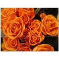 thumbnail image 1 of Flowers Ceramic Tile Mural Kitchen Backsplash Bathroom Shower 402380-L43, 1 of 3