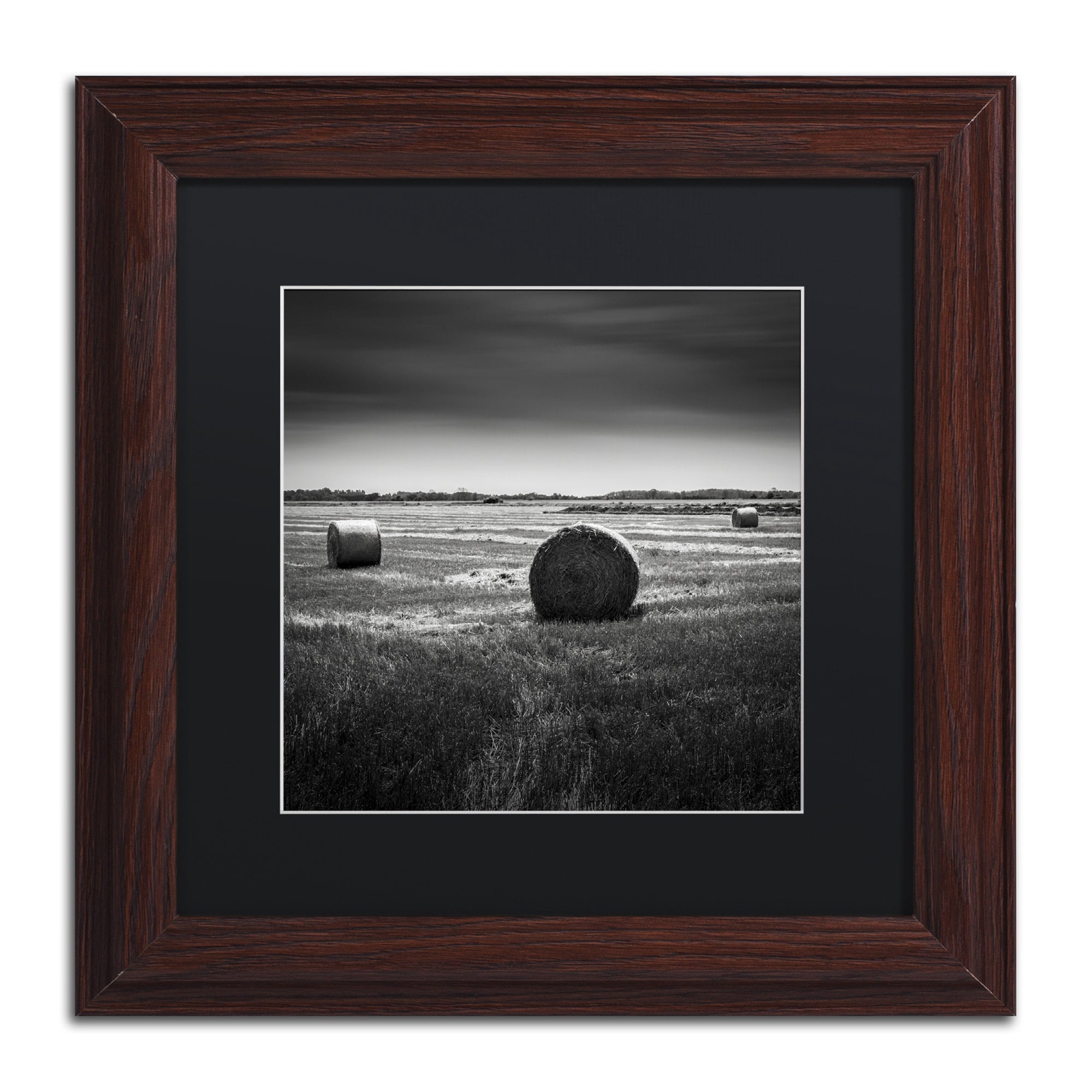 Trademark Fine Art "Rural" Canvas Art by Dave MacVicar, Black Matte, Wood Frame