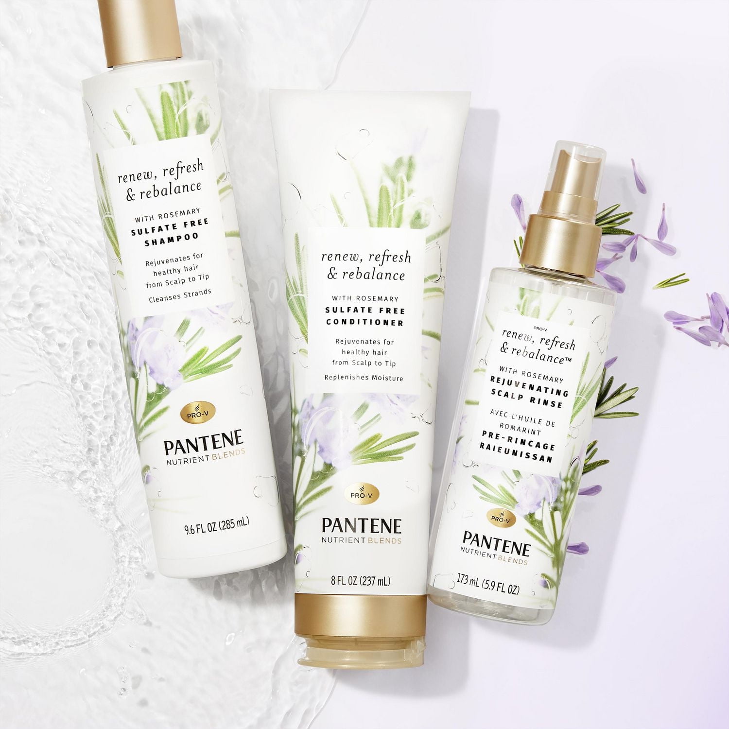 PANTENE Rosemary NUTRIENT BLENDS Rejuvenating Scalp Rinse, 5.8 fl oz/173 mL