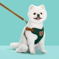 thumbnail image 3 of Polyester Pet Leash for Easy Walking Outdoor Adventures Comfortable Control Durable Strap for Dogs and Cats Daily Use, 3 of 3