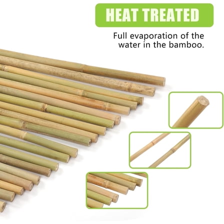 25 Pack 2FT Natural Bamboo Plant Stakes - Garden Supports for Tomatoes, Beans, Potted & Climbing Plants