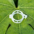 thumbnail image 4 of WEISIPU 50-300PCS Plant Support Clips Ties Veggie Trellis Stake Greenhouse Tomato Garden Tools, 4 of 7