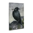 thumbnail image 4 of Stupell Industries Crow & Hummingbird Perched Animals & Insects Painting Gallery Wrapped Canvas Art Print Wall Art, 16 x 24, 4 of 8