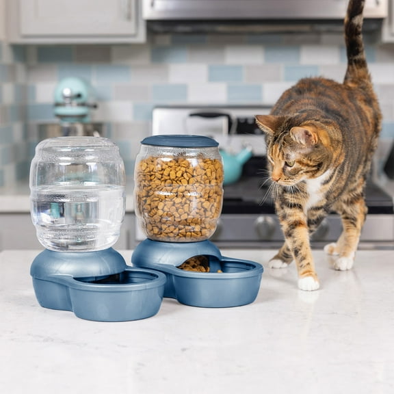 Petmate Replendish Gravity Pet Feeder With Microban for Dogs & Cats, 9.7" H, 2 lb Capacity, Pearl Peacock