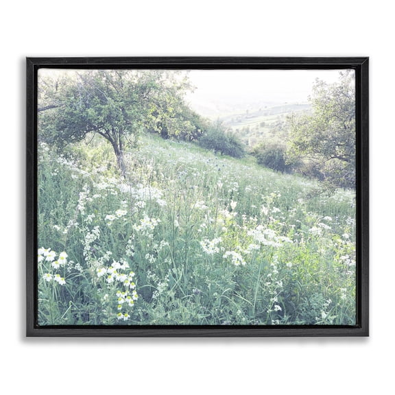 Stupell Industries Traditional Sunny Daisies in Meadow Black Floating Frame Canvas Art, 21 x 17, by Leah Straatsma