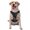 With Accessories, variant on Vsdgher Colorful Patterned Snake Pattern Dog Harness,No Pull Pet Harness with Soft Padded Handle,Adjustable Reflective Vest with 2 Buckles,4 Slide Buckles,S-XL