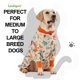 thumbnail image 3 of Pijama para perros LovinPet Recovery, traje antilame para perros grandes, 3 of 7
