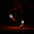 thumbnail image 3 of High Visibility LED Leg Bands For Nighttime Horse Riding And Equine Activity Visibility Enhancement, 3 of 3