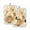 Bears are Eating Honey, variant on 2 Pack Pot Holders for Kitchen Heat Resistant Hot Pads Sets for Cooking Baking Pastel Blue Bows and Dots