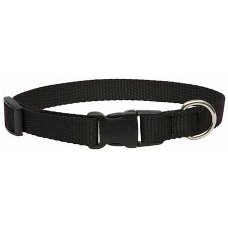 UPC: 0746889275015 | Lupine 27501 Adjustable Dog Collar  Black  9 -14