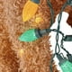 thumbnail image 4 of Holiday Living Christmas Led Light Up Fluffy Doodle Dogs Decor Gift, 4 of 5