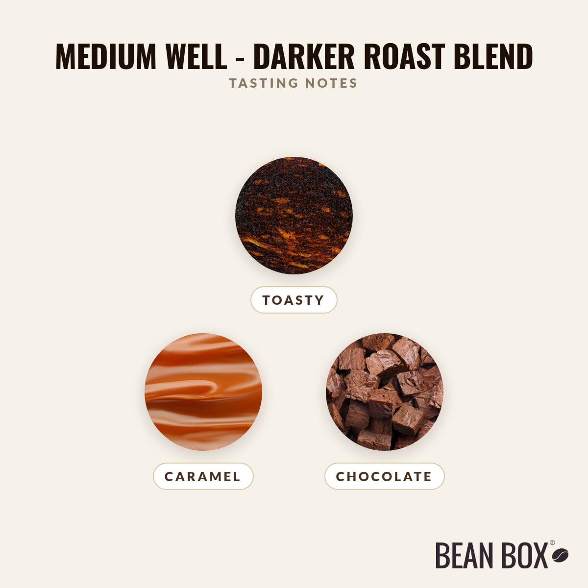 Medium Well - Darker Roast Blend - Roasted by Bolt Coffee Co. - Whole Bean Coffee - 12oz Bag