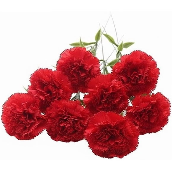 Fleurs d'Oeillets Artificielles 20 Tiges Rouges, Bouquet d'Oeillets en Soie pour Mariage Maison Bureau Jardin Centre de Table Arrangement Floral