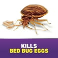 thumbnail image 6 of (2 pack) Ortho Home Defense Max Bed Bug Killer 18 oz., 6 of 12