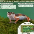 thumbnail image 3 of ZeeDix 50QT Sphagnum Moss for Reptile (Leopards, Geckos, Snakes, Turtles, Frogs), Reptile Moss Bedding for Terrarium Plants, Long Fiber Reptile Moss (2.2LBS Green Natural Sphagnum Moss), 3 of 8