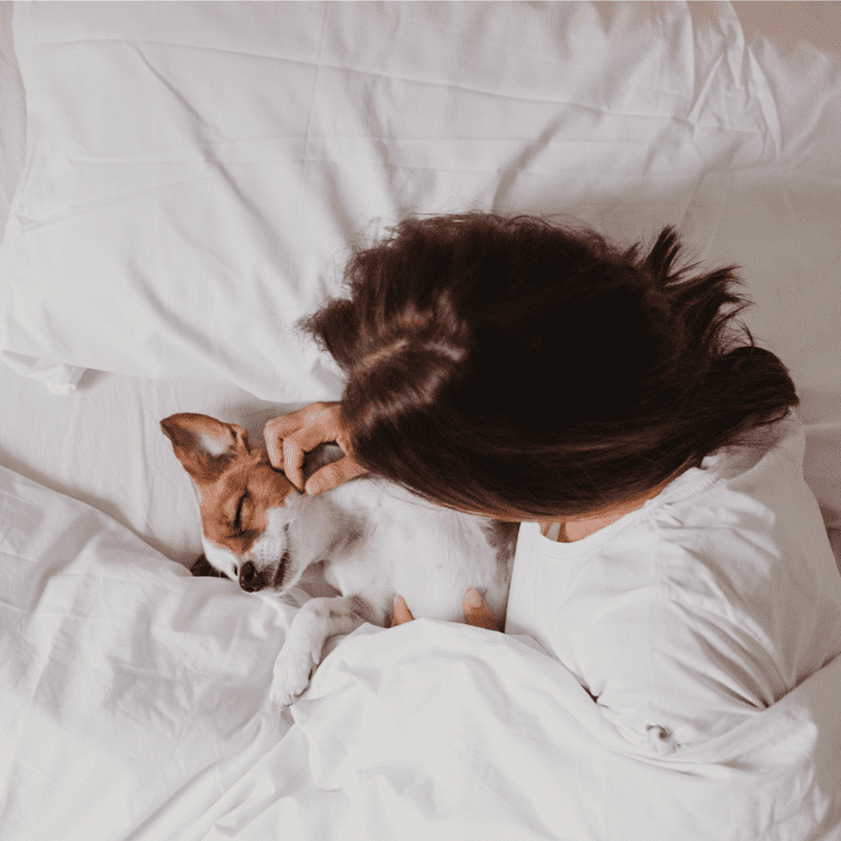 Dog hair resistant clearance duvet cover