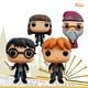thumbnail image 2 of Funko Pop Harry Potter Hermione Ron Y Dumbledore Warner Bros Aniversario 4 Pack Original, 2 of 3