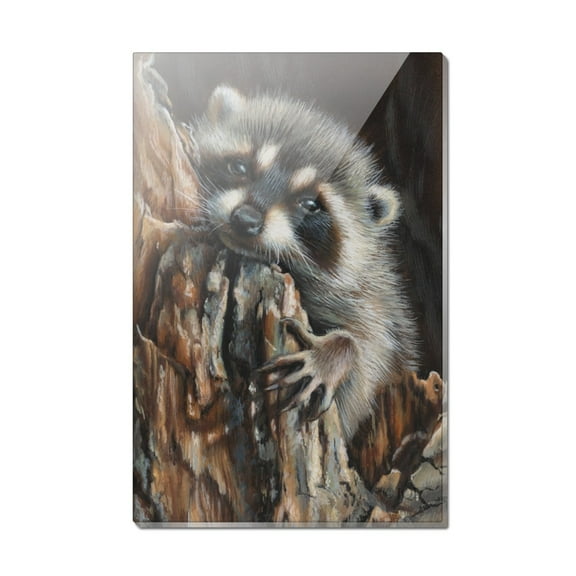 Lazy Daydreaming Raccoon in Tree Rectangle Acrylic Fridge Refrigerator Magnet