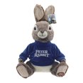 thumbnail image 1 of PETER RABBIT Sitting Peter Rabbit Plush, 1 of 6