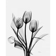 thumbnail image 2 of Koetsier, Albert 12x14 Gold Ornate Wood Framed with Double Matting Museum Art Print Titled - Three Gray Tulips H14, 2 of 4