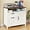 White, variant on Lateral File Cabinet with 2 Drawers and Door Farmhouse File Cabinet for A4/Letter Size Hanging Files, Large Wood File Storage Cabinets Printer Stand with Open Space for Home Office Furniture, White