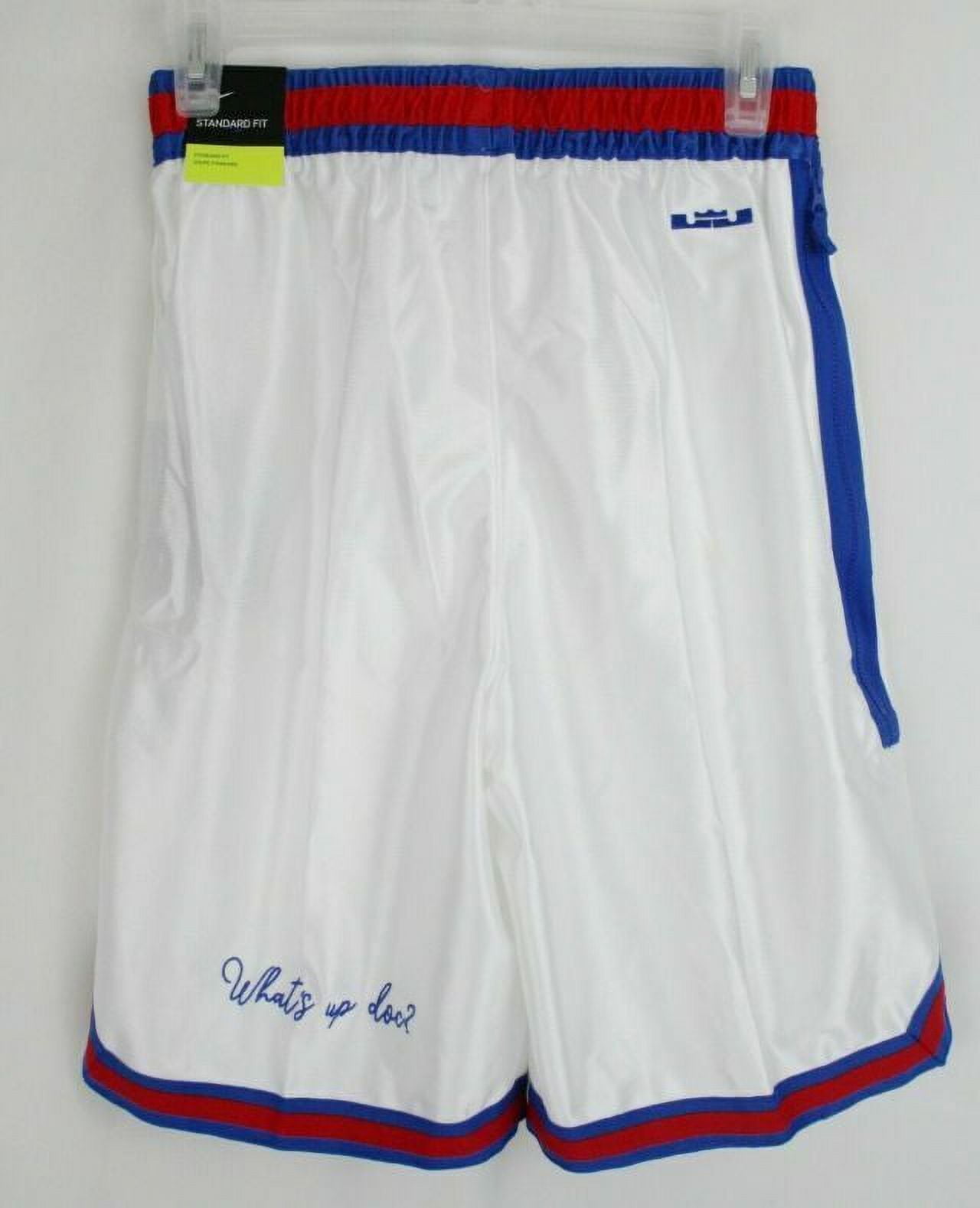 lebron space jam shorts