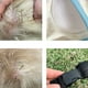 thumbnail image 5 of Protector de Codo para Perro Soporte para Piernas de Perro Ropa para Cachorros Soporte Ajustable para la Pierna Delantera del Perro con Banda Elástica Cómodo de Llevar ANGGREK  Otros, 5 of 8