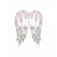 thumbnail image 3 of Ogren, Sarah 15x17 Black Modern Framed Museum Art Print Titled - Wings with Pink Feathers, 3 of 5