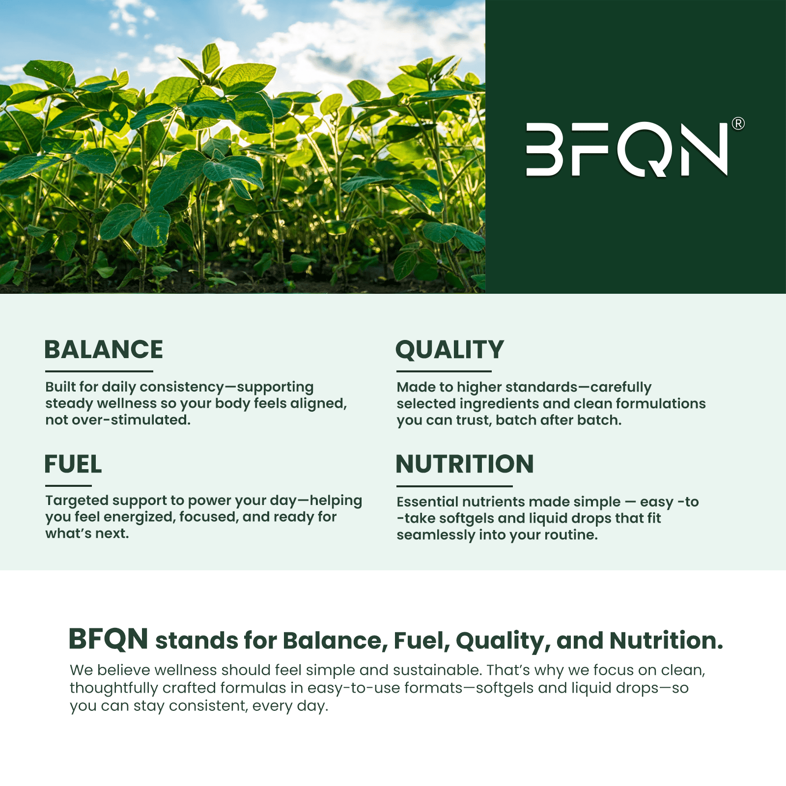 BFQN  Ethiopian Black Seed Oil Softgels – 300 Softgels with 1000mg Cold-Pressed Nigella Sativa, Non-GMO, Skin Health Support