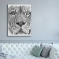 thumbnail image 5 of Epic Graffiti 'Up Close Lion' by Barbara Keith, Canvas Wall Art, 40"x54", 5 of 8