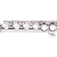 thumbnail image 4 of Stagg C Flute, Closed Holes, Offset G, 4 of 6