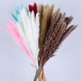 thumbnail image 3 of HEVIRGO 15Pcs/Bundle Small Pampas Grass Ornamental Desktop Decor Dried Flower Birthday Party Artificial Reed Bouquet for Garden(Red ), 3 of 10