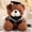 Dark brown and silver, variant on LEJHVAQK Graduation Teddy Bear: Stuffed Toys with Doctoral Cap & Gown for Class of 2026, Cute Plushie Doll Keepsake Gift for Graduates, Multiple Styles, 1 Pack