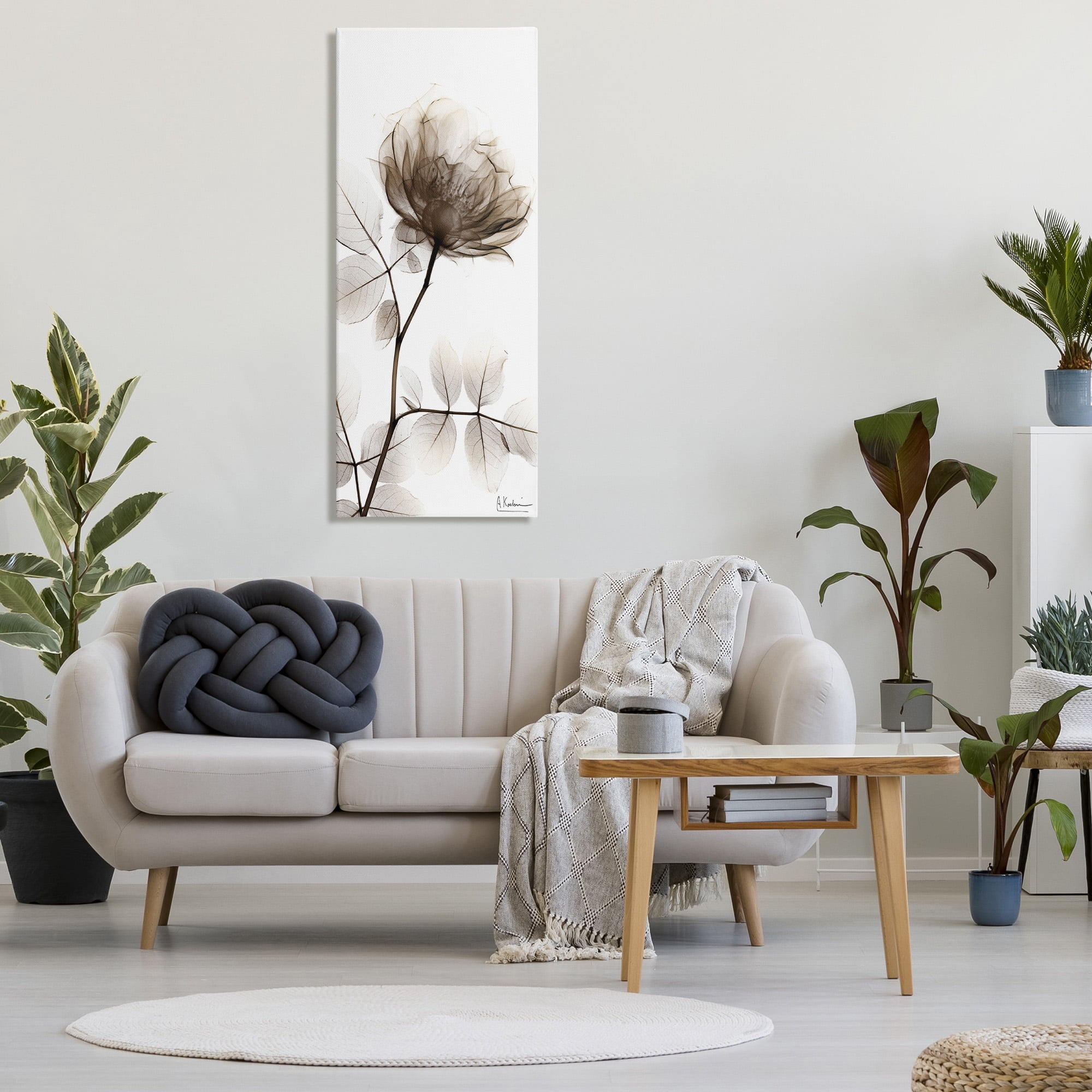 Stupell Industries Contemporary X-Ray Flower Botanical & Floral Photography Gallery Wrapped Canvas Art Print Wall Art, 20 x 48