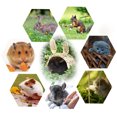 thumbnail image 3 of Straw Hamster Hut Creative Grass Rabbit House Pet Grass Nest Rabbit Grass Bed, 3 of 10
