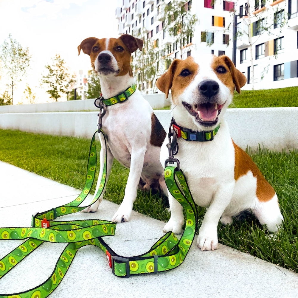 WAUDOG Nylon Leash with Unique Design | Strong & Special Design Leash for Cute Small, Medium Large Dog | Heavy Duty Dog Leashes for Large Breed Dog & Puppy Leash for Small Boy & Girl Dogs - Red Plaid